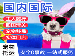 汉中城固空运国际宠物托运 【国
